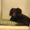 Photo of Dee N.