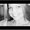 Photo of Colleen S.