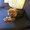 Photo of Maisie M.