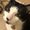 Photo of M M.