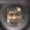Photo of Lance K.