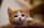 Photo of Qype User (Burzel…)