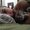 Photo of Kimberlina T.