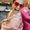 Photo of Geraldine E.