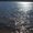 Photo of Tahoe L.