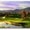 Photo of California D.