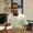 Photo of Jelani W.