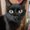 Photo of Littleflames L.