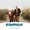 Photo of Jessica B.