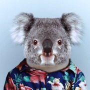 google avatar