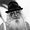 Photo of Dovid K.
