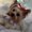 Photo of Aicha S.