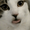 Photo of Meo W.