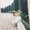 Photo of Trudy Thanh N.