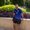 Photo of Erick M.