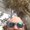 Photo of Jon C.