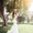 Photo of Samantha B.