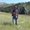Photo of Steven S.