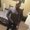 Photo of Kiante H.