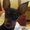 Photo of Cheri J.
