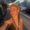 Photo of Karissa T.