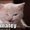 Photo of Cat D.