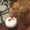 Photo of Kitty B.