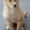 Photo of Sammy-J M.