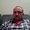 Photo of Gary P.