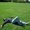 Photo of Qype User (dshank…)