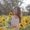 Photo of Leanne C.