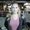 Photo of Alicia M.
