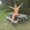 Photo of Kelsey D.