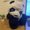Photo of Max C.