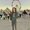 Photo of Arabella D.