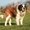 Photo of Qype User (franco…)