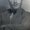 Photo of Greg S.