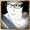 Photo of Kasia Y.