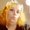 Photo of Lauren L.