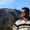 Photo of Mehrab S.