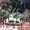 Photo of Michael K.