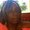 Photo of Sherry F.