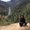 Photo of Mahrukh M.