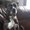 Photo of Dutchy G.
