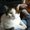 Photo of Qype User (Kunai…)