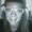 Photo of Courtney D.