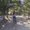 Photo of Leiah O.