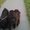 Photo of Qype User (Yvonne…)