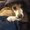 Photo of Jacky S.