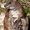 Photo of Qype User (Lillif…)